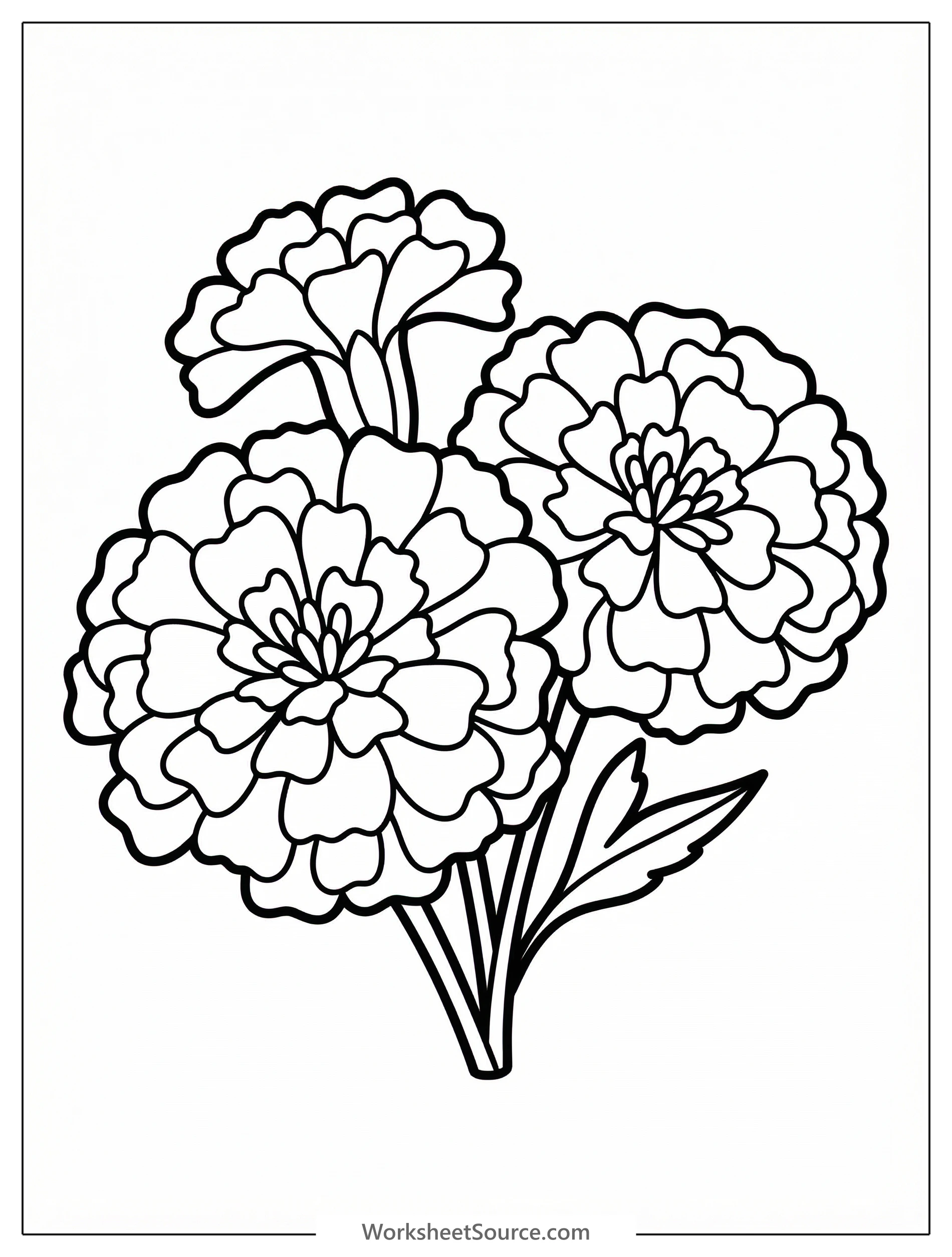 Clear black and white line art coloring page of beautifully detailed festive marigold flowers with intricate petals, ready for vibrant creative expression.