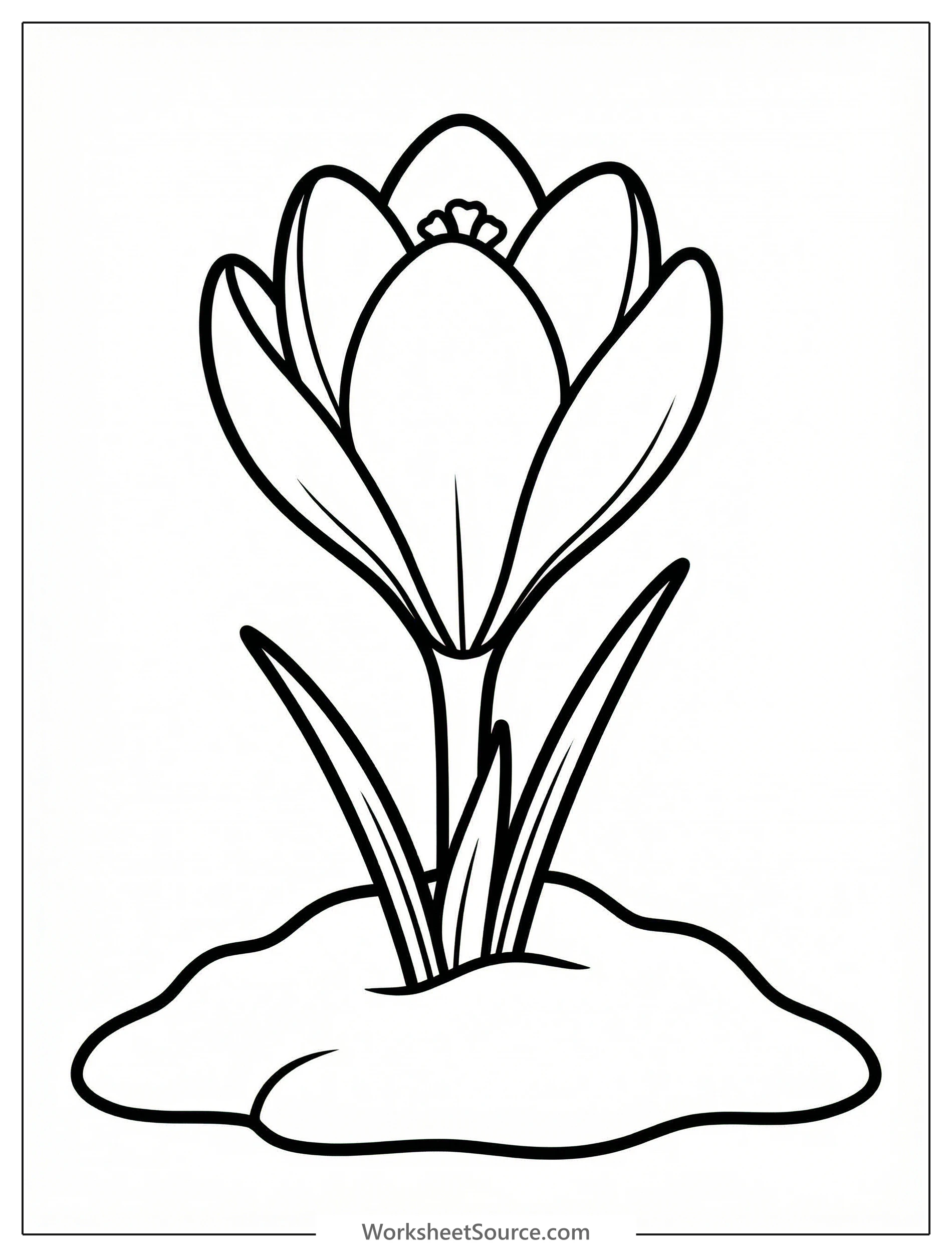 Clear black and white line art coloring page depicting a crocus flower pushing its way through a snowy ground, professionally designed for easy coloring.