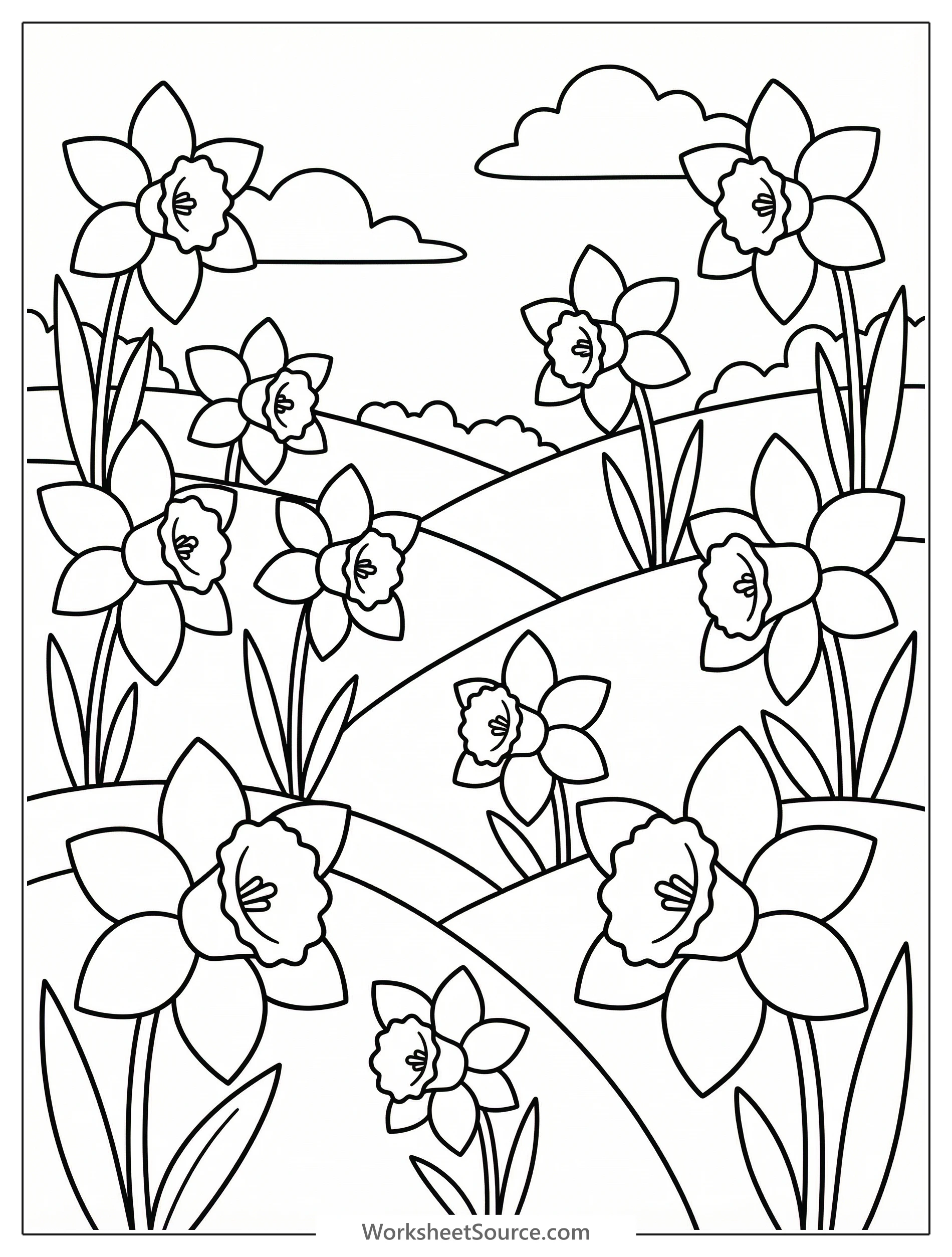 Clear black and white line art of a vibrant daffodil field with many flowers and leaves, designed as a professional coloring page.