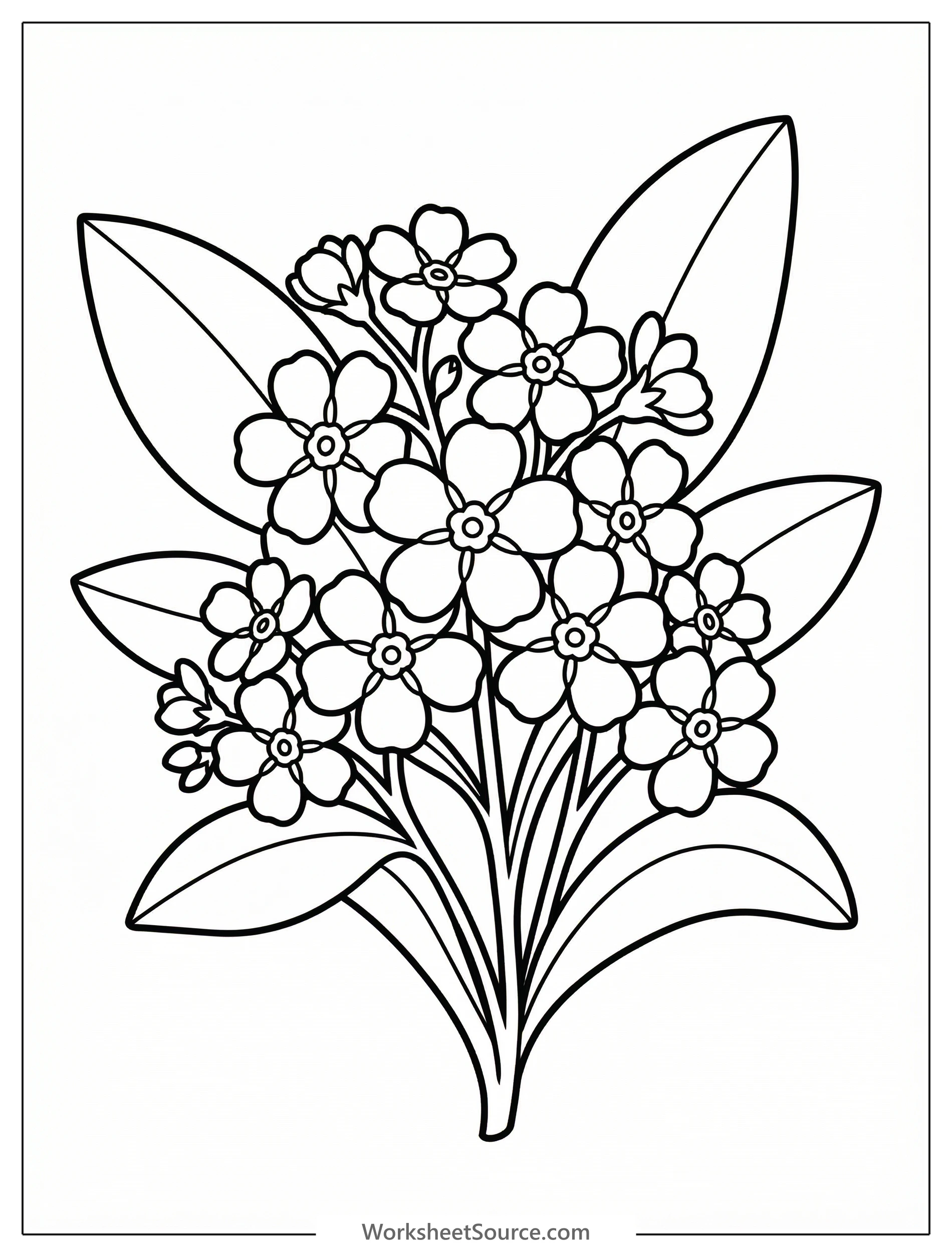 Clear black and white line art coloring page depicting a cluster of small forget-me-not flowers with leaves and stems, professional design.