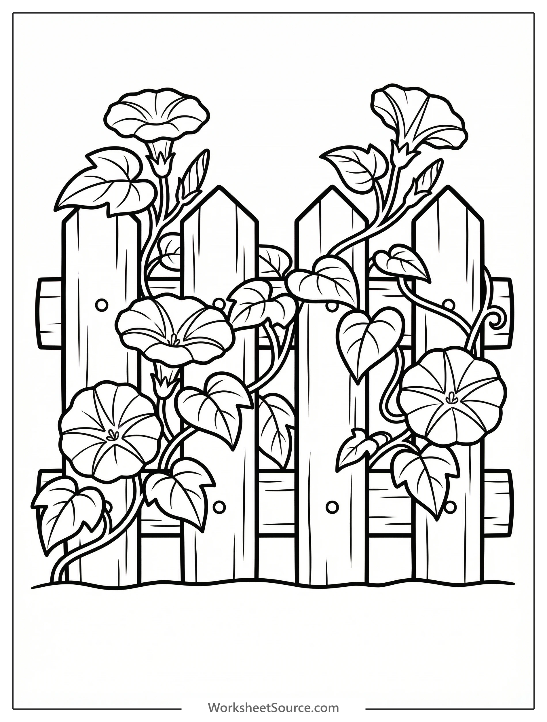 Black and white line art coloring page depicting a wooden garden fence entwined with delicate morning glory flowers and vines under a sun.