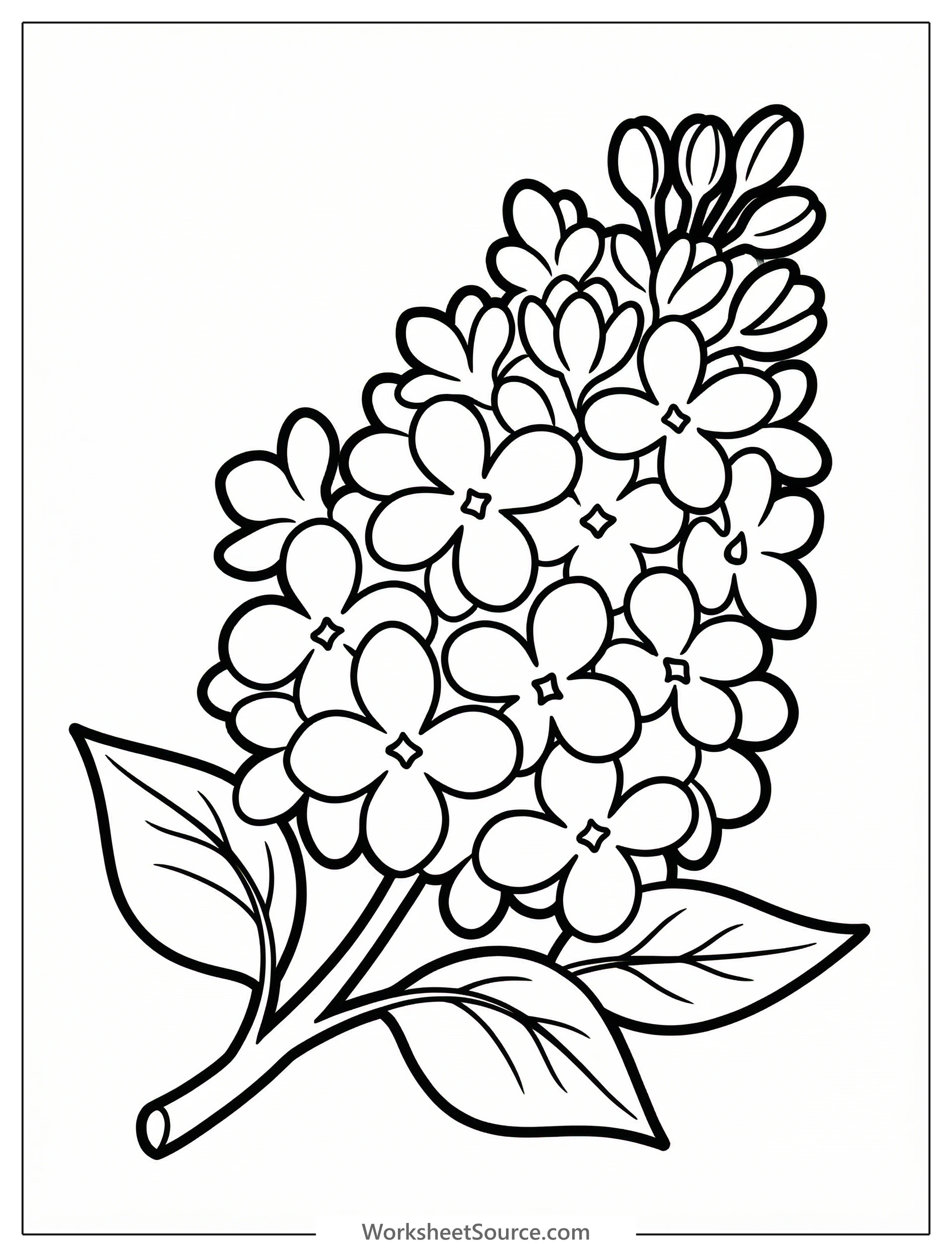 Clear black and white line art coloring page depicting a lush cluster of lilac flowers with leaves, professionally designed for printing.