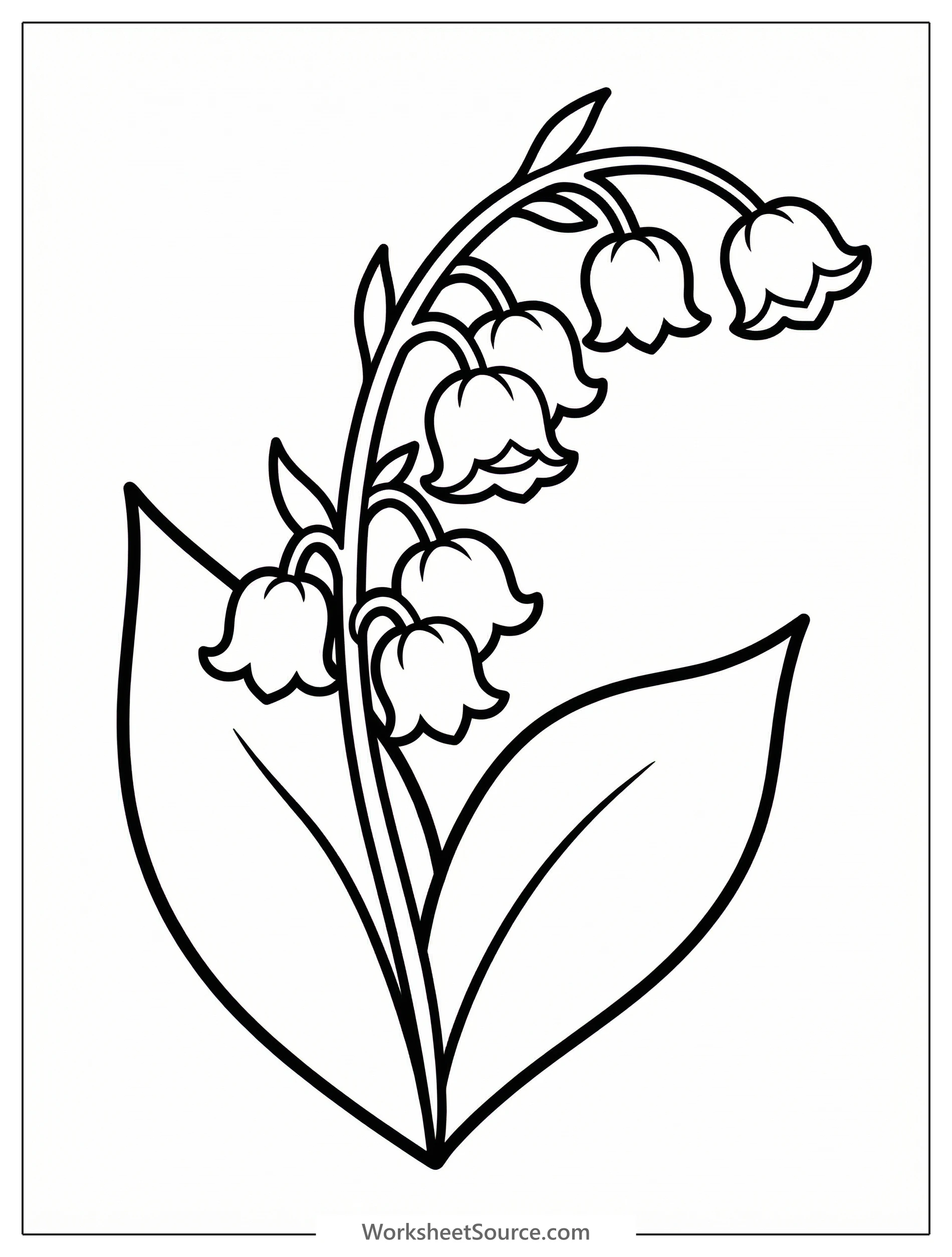 Clear black and white line art of a lily of the valley flower, featuring delicate bell shaped blossoms and broad leaves, ready for coloring.