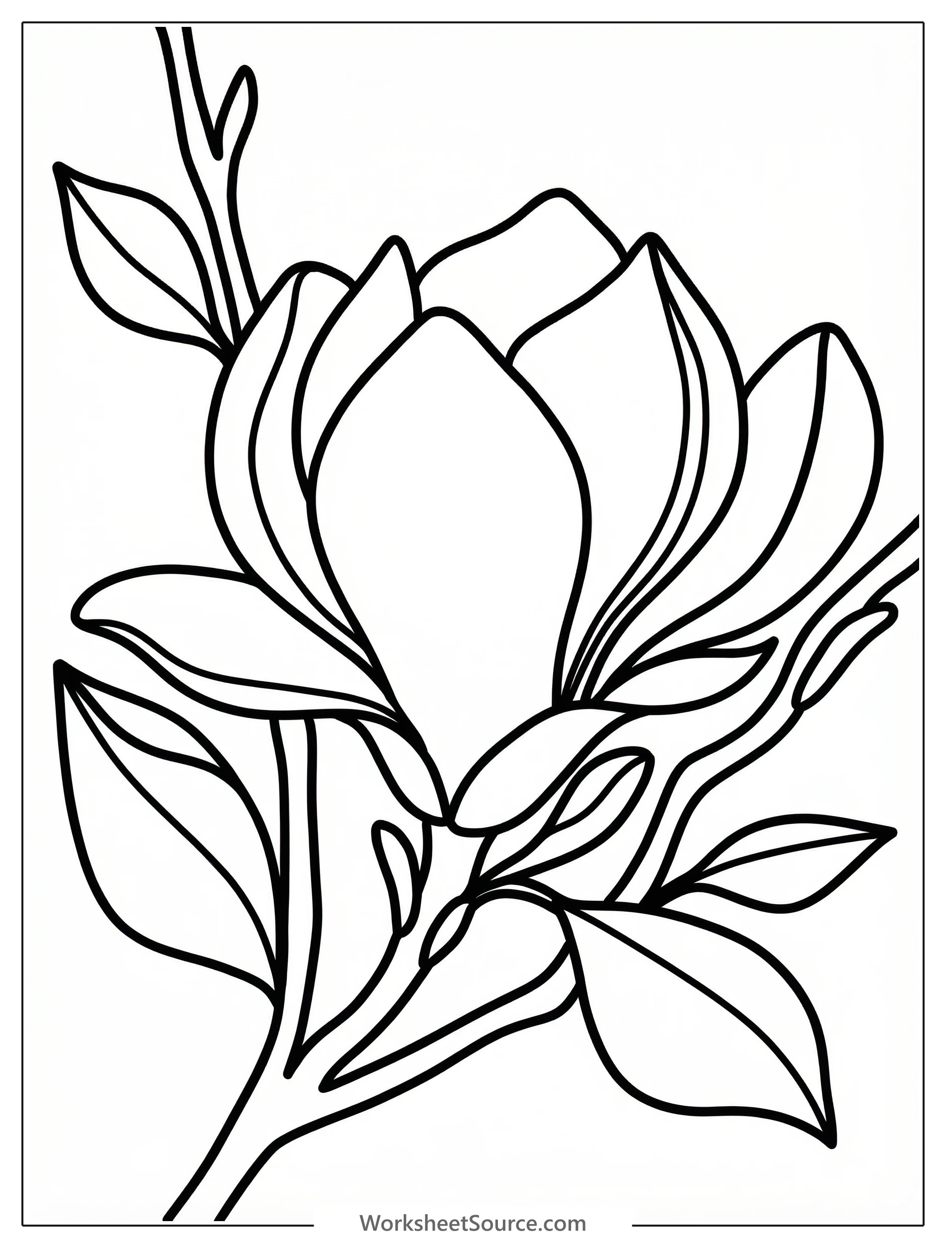 Clear black and white line art coloring page depicting a large, detailed magnolia tree bloom with leaves, ready for creative coloring.