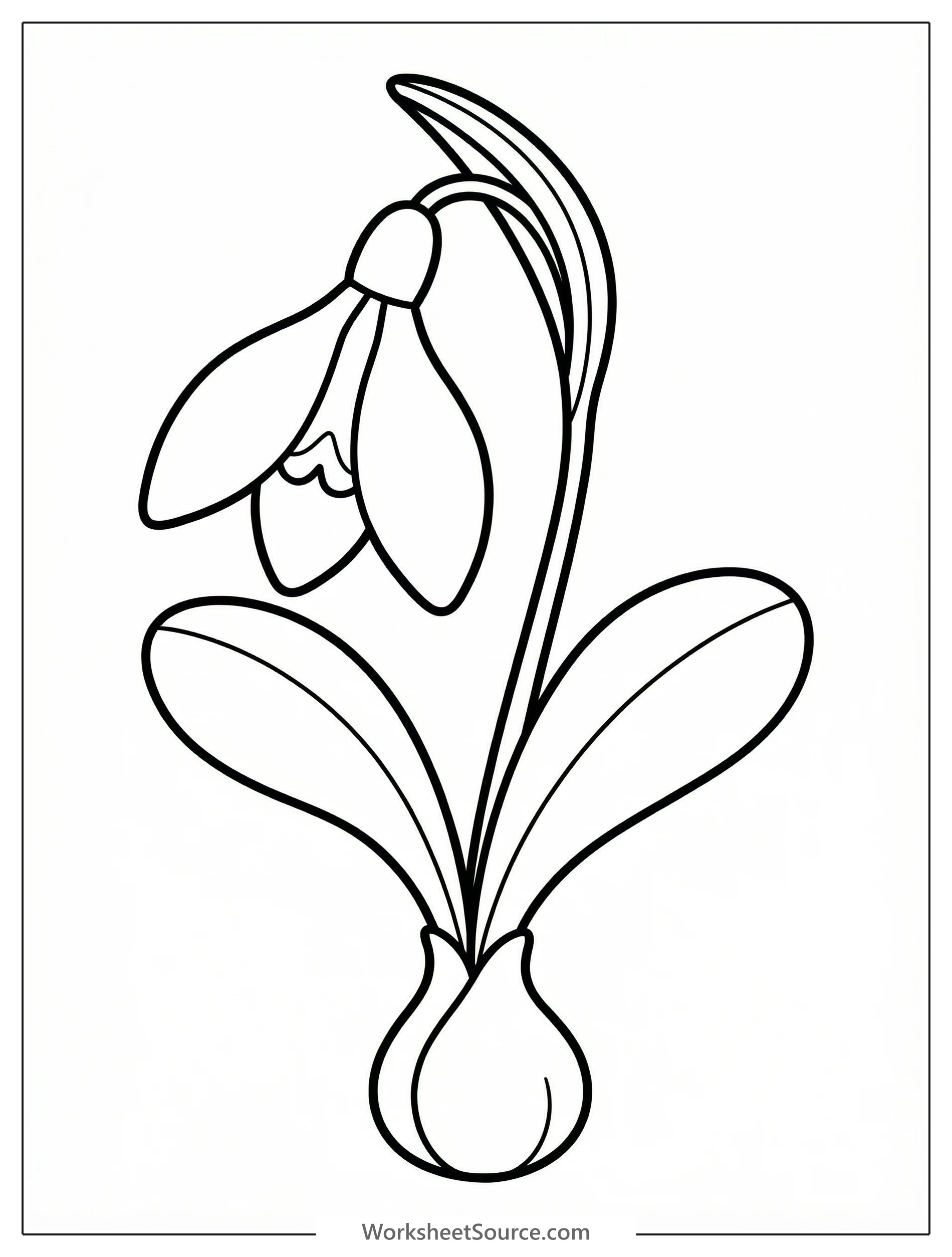 Clear black and white line art coloring page featuring a delicate snowdrop flower with bell shaped petals and long slender leaves.